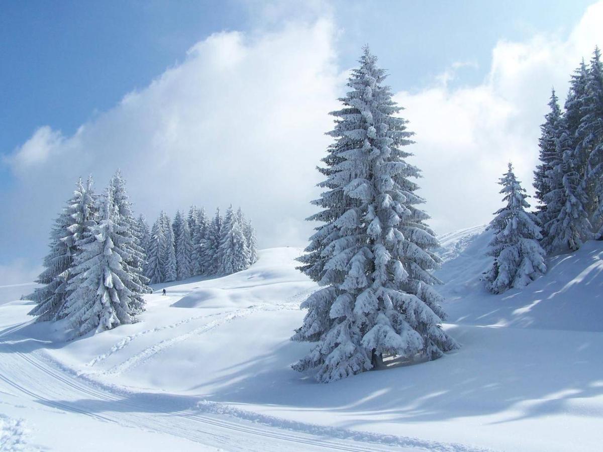 Hotel Mont Thabor Serre Chevalier La Salle-les-Alpes Exteriör bild